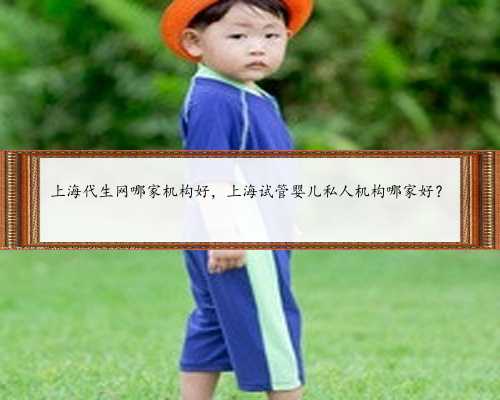 上海代生网哪家机构好，上海试管婴儿私人机构哪家好？