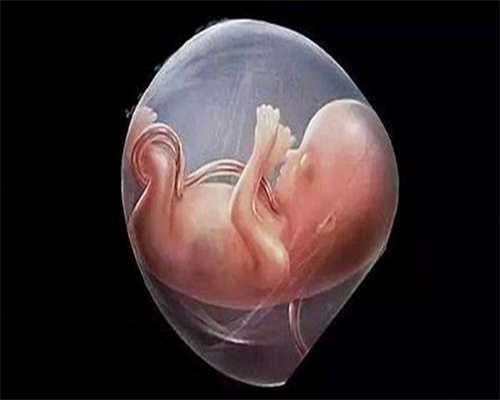 衡阳52岁没月经做三代试管费用解读，费用在10万左右