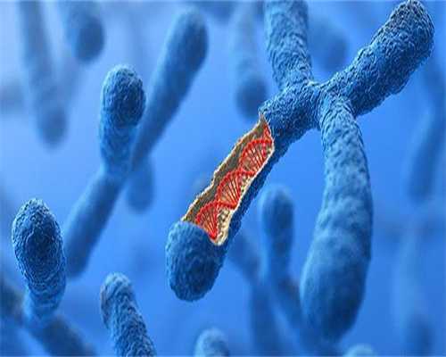 助孕中心电话+生殖代孕中心,6细胞4级胚胎成功率高是谣言，移植后不易着床还