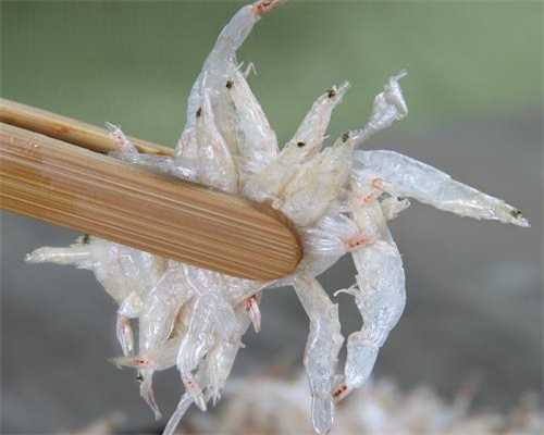 做二代那做代生好比较好的医院排名