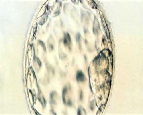 包成功助孕网_俄罗斯助孕包成功,十多年没有孩子？十年没要孩子能正常怀孕吗