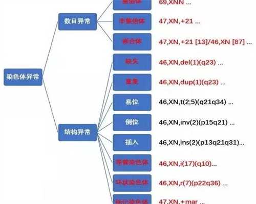 比较新一代试管婴儿费用