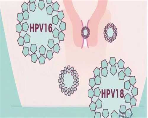微刺激有代生机构吗成功率如何提高？
